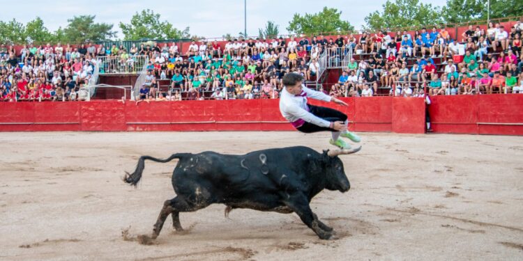 Fiestas de Agosto de Marchamalo 2025: música, encierros y celebraciones multitudinarias