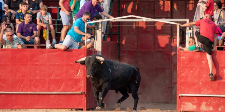 Fiestas de Agosto de Marchamalo 2025: música, encierros y celebraciones multitudinarias