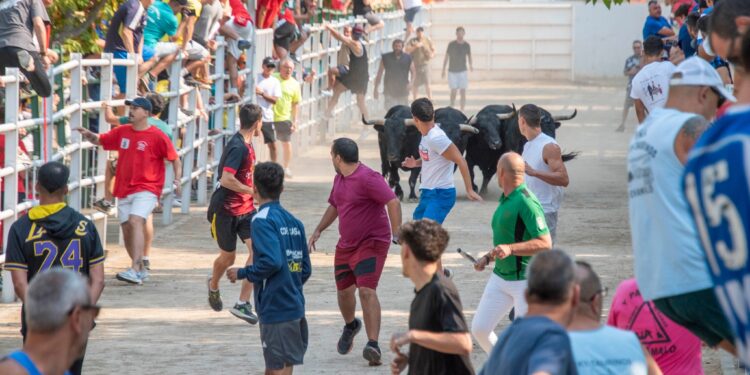 Fiestas de Agosto de Marchamalo 2025: música, encierros y celebraciones multitudinarias