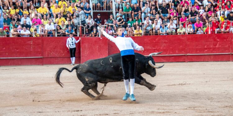 Fiestas de Agosto de Marchamalo 2025: música, encierros y celebraciones multitudinarias