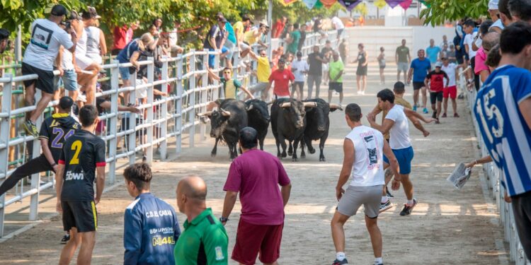 Fiestas de Agosto de Marchamalo 2025: música, encierros y celebraciones multitudinarias