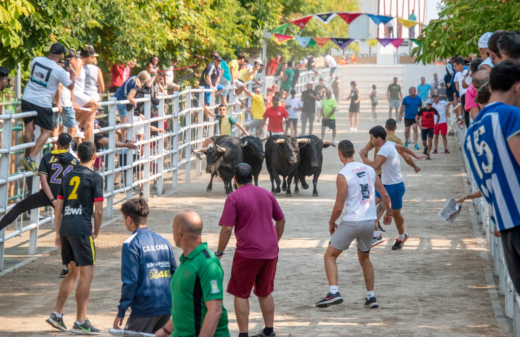 Primer encierro en honor al Gallardo