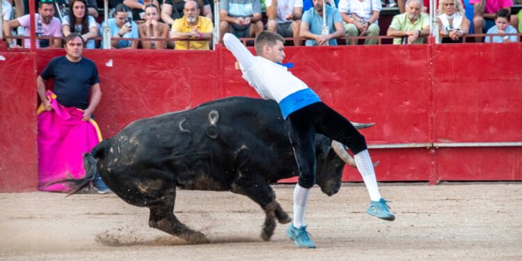 Fiestas de Agosto de Marchamalo 2025: música, encierros y celebraciones multitudinarias