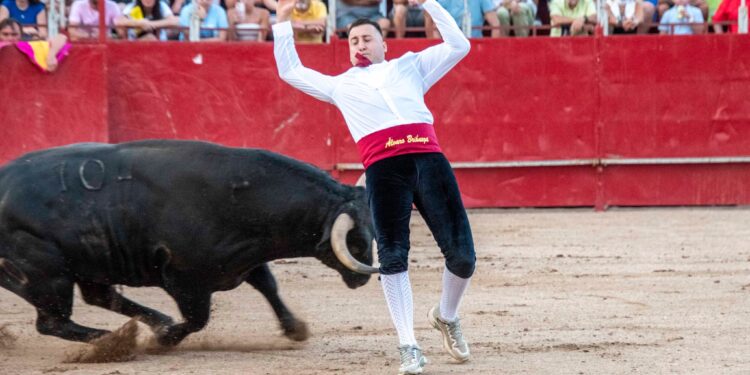 Fiestas de Agosto de Marchamalo 2025: música, encierros y celebraciones multitudinarias