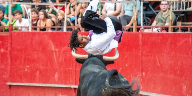 Fiestas de Agosto de Marchamalo 2025: música, encierros y celebraciones multitudinarias