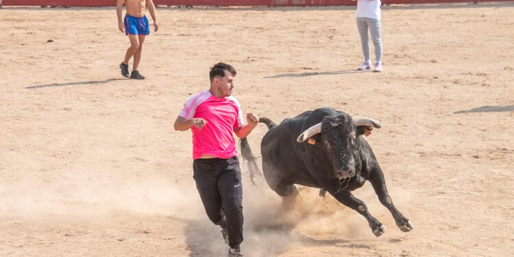Fiestas de Agosto de Marchamalo 2025: música, encierros y celebraciones multitudinarias
