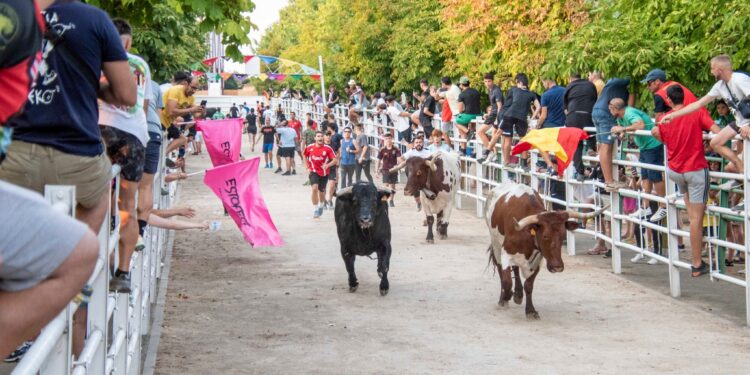 Fiestas de Agosto de Marchamalo 2025: música, encierros y celebraciones multitudinarias