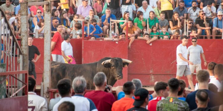 Fiestas de Agosto de Marchamalo 2025: música, encierros y celebraciones multitudinarias