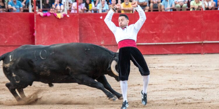 Fiestas de Agosto de Marchamalo 2025: música, encierros y celebraciones multitudinarias