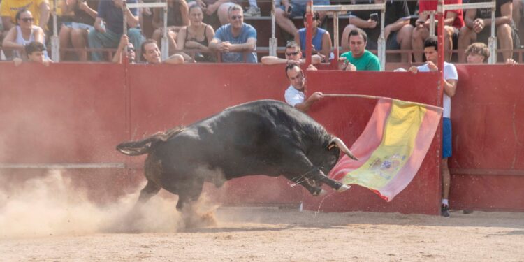 Fiestas de Agosto de Marchamalo 2025: música, encierros y celebraciones multitudinarias