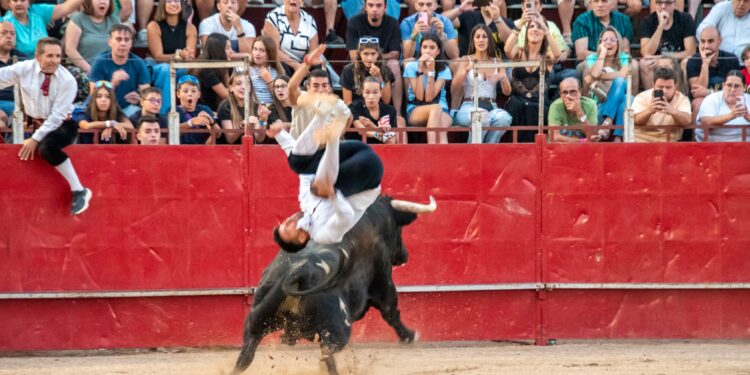 Fiestas de Agosto de Marchamalo 2025: música, encierros y celebraciones multitudinarias