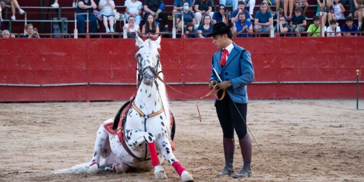Fiestas de Agosto de Marchamalo 2025: música, encierros y celebraciones multitudinarias