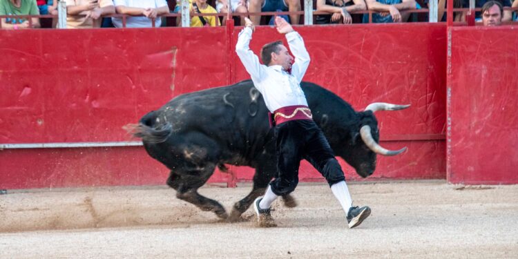 Fiestas de Agosto de Marchamalo 2025: música, encierros y celebraciones multitudinarias