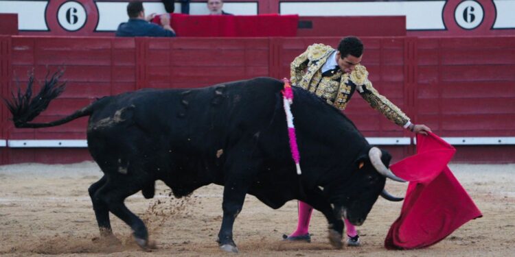 Adrián Centenera y la Feria Taurina del Arroz 2025