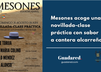 Mesones acoge una novillada-clase práctica con sabor a cantera alcarreña
