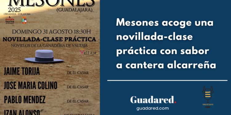 Mesones acoge una novillada-clase práctica con sabor a cantera alcarreña