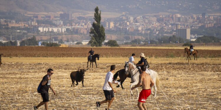 Fiestas de Agosto de Marchamalo 2025: música, encierros y celebraciones multitudinarias