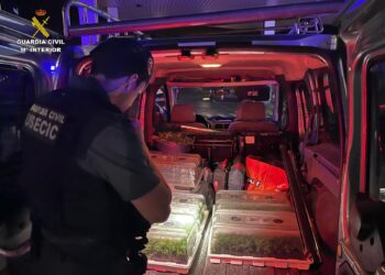 Guardia Civil de Guadalajara incauta 400 plantas de marihuana en El Pozo de Guadalajara y detiene a dos personas