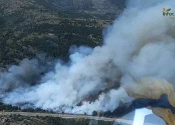 Incendio forestal en La Huerce (Guadalajara) obliga a cortar la CM-1006 por humo intenso