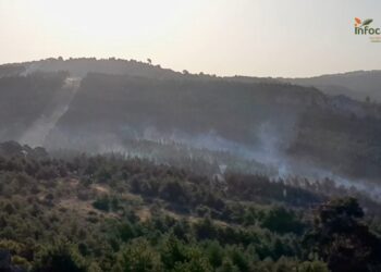 Incendio en La Huerce (Guadalajara) baja a Nivel 0 y se reabre la CM-1006