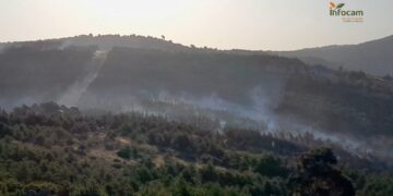 Incendio en La Huerce (Guadalajara) baja a Nivel 0 y se reabre la CM-1006