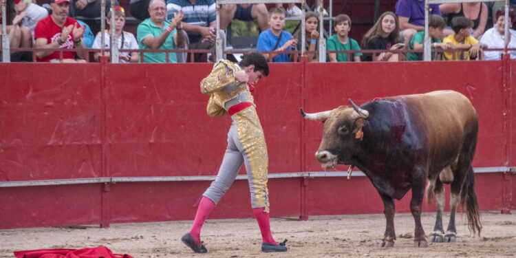 Fiestas de Agosto de Marchamalo 2025: música, encierros y celebraciones multitudinarias