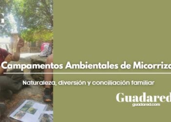Campamentos Ambientales de Micorriza en Guadalajara: naturaleza, diversión y conciliación familiar