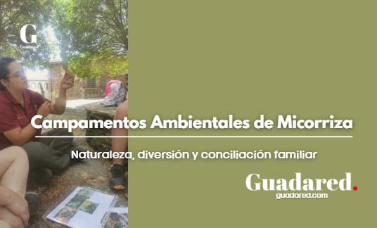 Campamentos Ambientales de Micorriza en Guadalajara: naturaleza, diversión y conciliación familiar