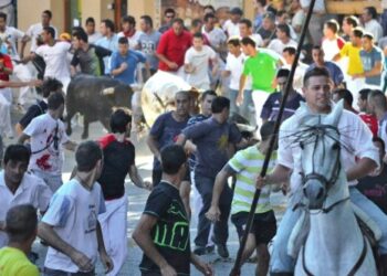 Fiestas Patronales de Brihuega 2025: Virgen de la Peña, Encierros y Tradición Histórica