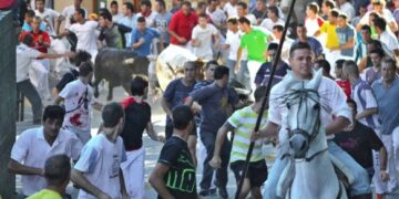 Fiestas Patronales de Brihuega 2025: Virgen de la Peña, Encierros y Tradición Histórica