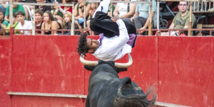 Fiestas de Agosto de Marchamalo 2025: música, encierros y celebraciones multitudinarias