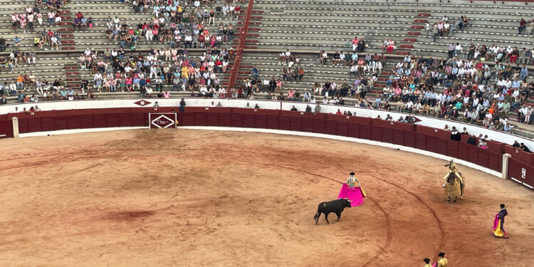 Doble puerta grande en Colmenar