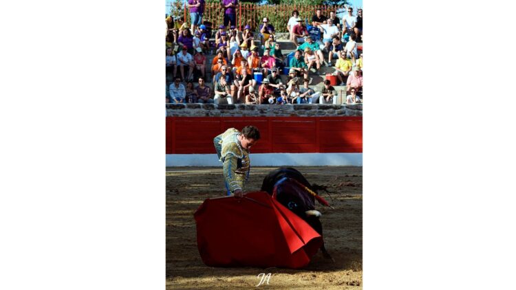 Triunfo de Puerta Grande en Sacedón para Leonardo Hernández y Ginés Marín