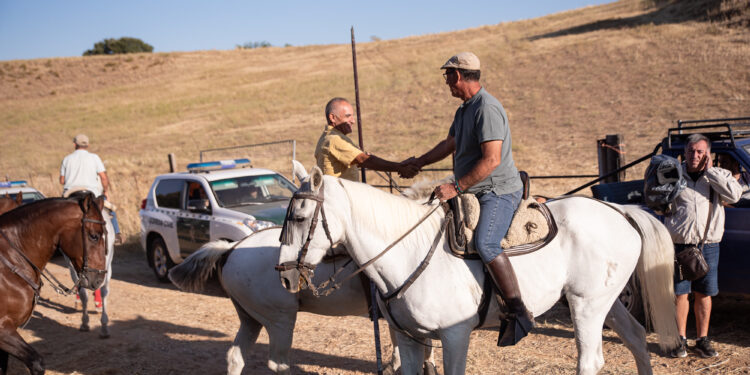 La Bajada de Yunquera de Henares 2025: Tradición Taurina y Novillada en Las Traviesas