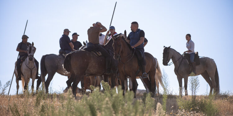 La Bajada de Yunquera de Henares 2025: Tradición Taurina y Novillada en Las Traviesas