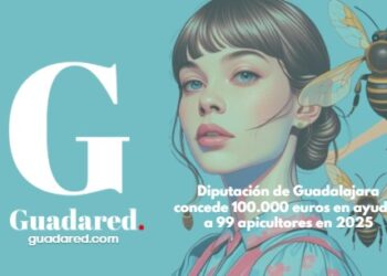 Diputación de Guadalajara concede 100.000 euros en ayudas a 99 apicultores en 2025