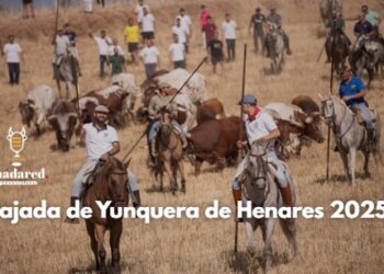 La Bajada de Yunquera de Henares 2025: Tradición Taurina y Novillada en Las Traviesas