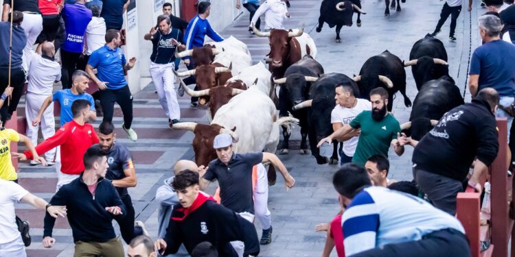Tercer encierro en Guadalajara 2025: toros de Alcurrucén, lleno en la plaza y carrera de 2:31 minutos