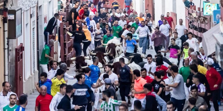 Tercer encierro en Guadalajara 2025: toros de Alcurrucén, lleno en la plaza y carrera de 2:31 minutos
