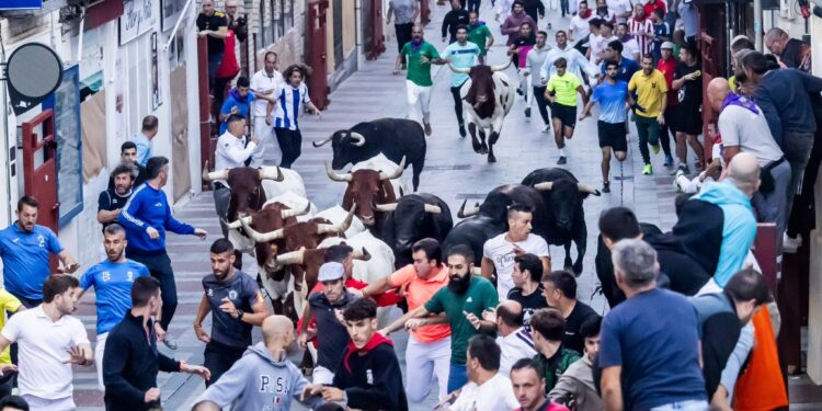 Tercer encierro en Guadalajara 2025: toros de Alcurrucén, lleno en la plaza y carrera de 2:31 minutos