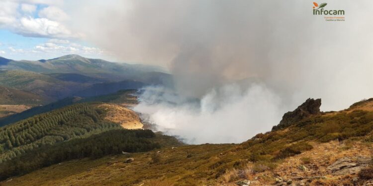 El incendio de Peñalba de la Sierra arrasa 550 hectáreas en el Pico del Lobo y desata críticas por la falta de medios en Guadalajara