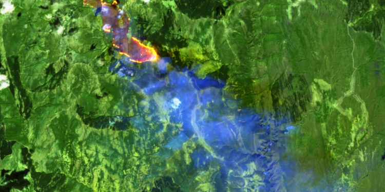 El incendio de Peñalba de la Sierra arrasa 550 hectáreas en el Pico del Lobo y desata críticas por la falta de medios en Guadalajara