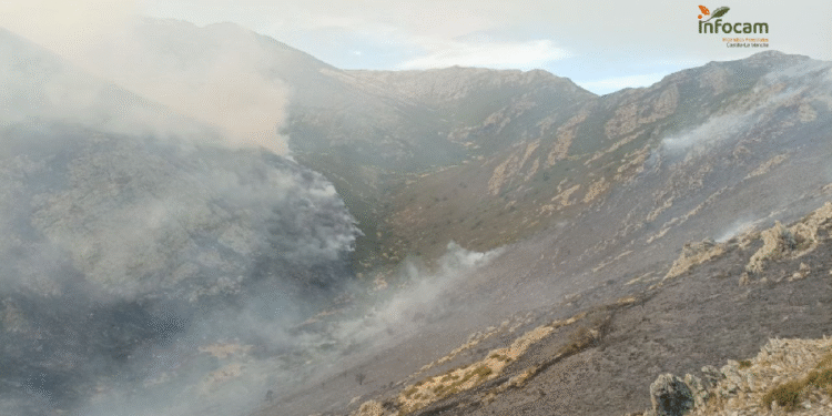 Incendio en Peñalba de la Sierra: más de 700 hectáreas arrasadas y 23 medios aéreos luchan por controlarlo