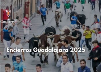 Encierros Guadalajara 2025: balance final con emoción, riesgo y tradición recuperada