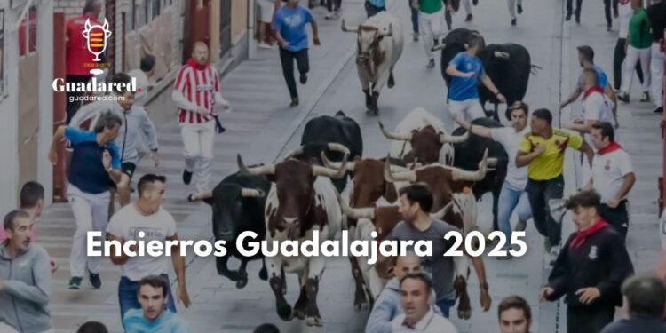 Encierros Guadalajara 2025: balance final con emoción, riesgo y tradición recuperada