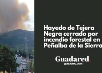 Incendio forestal Peñalba de la Sierra: evolución, cierre del Hayedo de Tejera Negra y medidas de seguridad