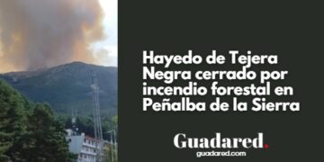 Incendio forestal Peñalba de la Sierra: evolución, cierre del Hayedo de Tejera Negra y medidas de seguridad