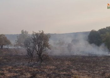 Incendios en Guadalajara: Luzaga y Atienza fueron provocados y complican extinción de Peñalba de la Sierra