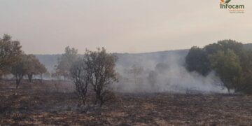 Incendios en Guadalajara: Luzaga y Atienza fueron provocados y complican extinción de Peñalba de la Sierra