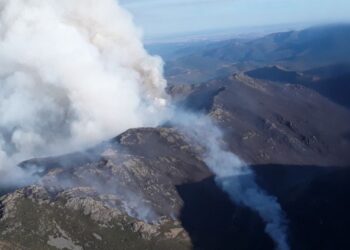 Incendio forestal en Peñalba de la Sierra (Guadalajara) sigue activo tras cinco días y arrasa más de 700 hectáreas